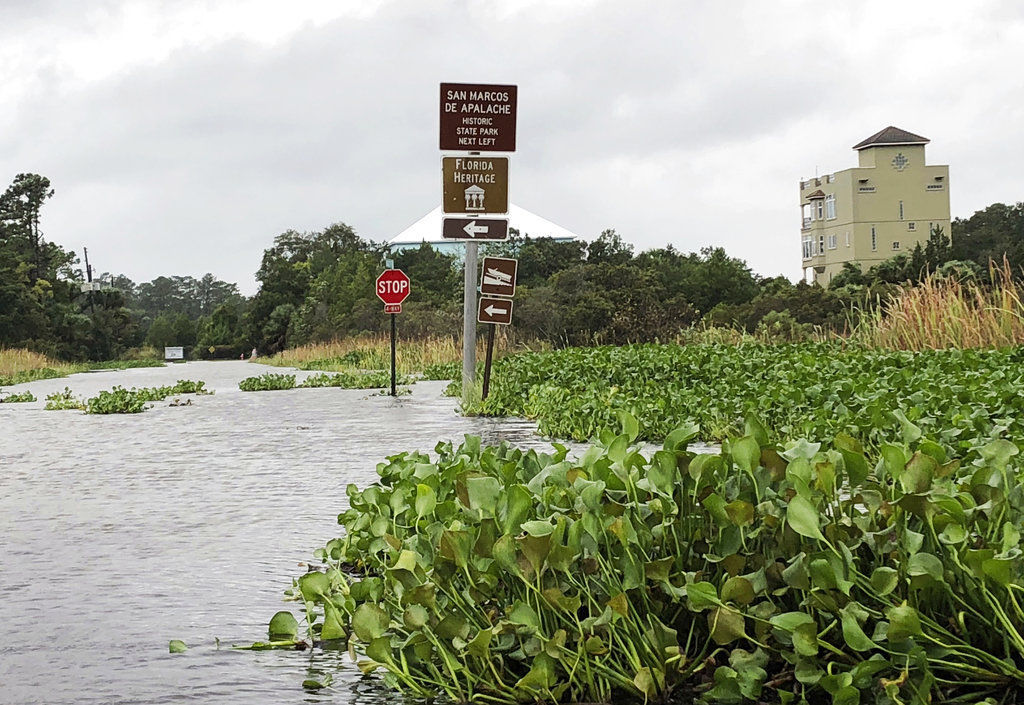 Hurricane Michael makes landfall